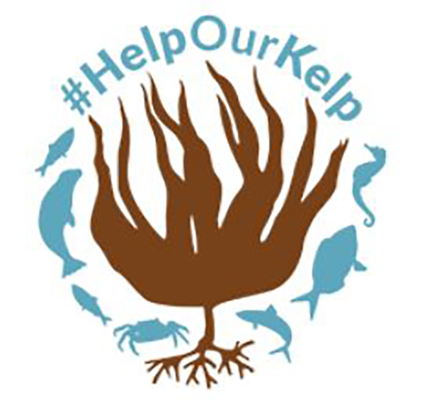 Help our kelp