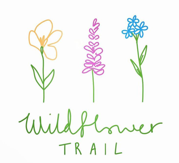 wildflower trail for web